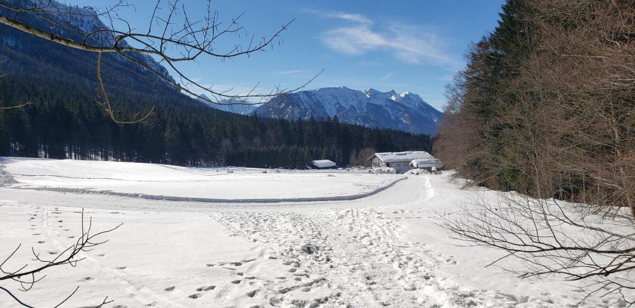 Inzellhaus Ferienwohnung "Alpina" Luaran gambar